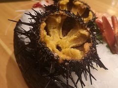 海胆-割烹旭日本料理(龙湖狮山天街店)
