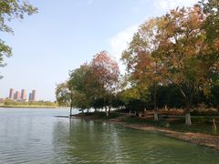 -白塘生态植物园