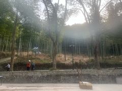 -东明山森林公园