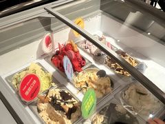 -成都尼依格罗酒店