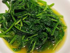 清炒豆苗-鱼食饭稻·苏浙土菜17年老馆子(平江路店)