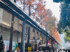 -Molee·泰府(东郊店)