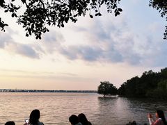 -宝安西湾红树林湿地公园