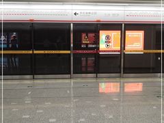 -奥林匹克体育中心游泳跳水中心