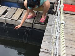 -海上驿站渔家菜馆