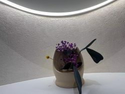 -王妃SPA·美容·科技抗衰
