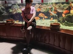 -太平洋海底世界