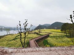 -新安江山水画廊风景区