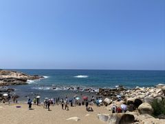 -广东惠东海龟国家级自然保护区