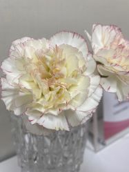 点击看大图 -北京俪婴妇产医院(朝阳大悦城店)