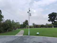 -长田漾湿地公园