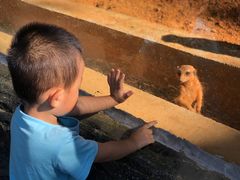 -贵州森林野生动物园