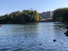 -荔湾湖公园