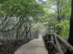 -梧桐山风景名胜区