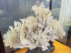 -游龙石文化科普馆