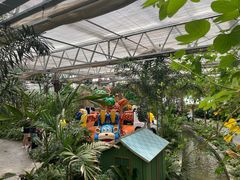 -南宫五洲植物乐园