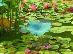 -国家植物园南园