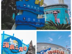 -海合安武汉极地海洋公园