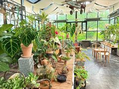 -北马山庄植趣咖啡