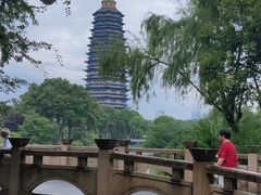 -红梅公园