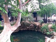 -眞宗·椰汁是大王(小娄巷店)