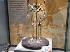 -天津自然博物馆