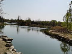 -大兴滨河森林公园