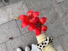 -黄埔古港