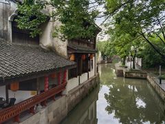 -鲁镇