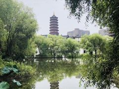 -长兴太湖图影湿地文化园