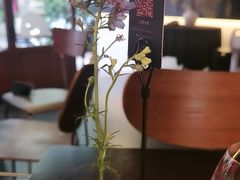 -Fuzzy Bistro 浮几韩餐·茶酒馆