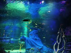 -沈阳海洋探索中心