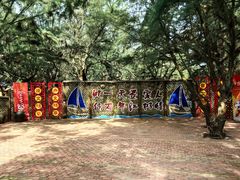 -北海金海湾红树林生态旅游区