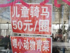 -1982农场