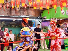 -正佳雨林生态植物园