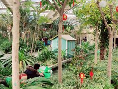 -南宫五洲植物乐园