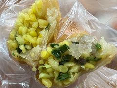 春卷-胡荣泉