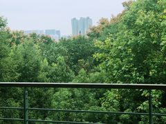 -西湖风景区-江洋畈生态公园