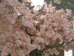 -汤泉良子(金源店)