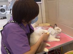 -北京观赏动物医院·24小时大型综合·猫专科·异宠专科