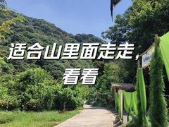 -北仑森林植物园