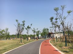 -上海长兴岛郊野公园