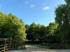 -同里国家湿地公园