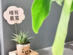 -Seesaw Coffee(上海国金中心店)