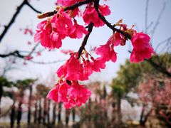 -玄武湖景区-情侣园游乐场