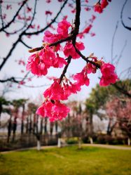 -玄武湖景区-情侣园游乐场