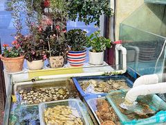 -公寓家常菜馆(海军博物馆店)