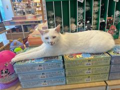 -回龙窝历史文化街区