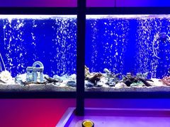 -MOJO密室逃脱(中街旗舰店)