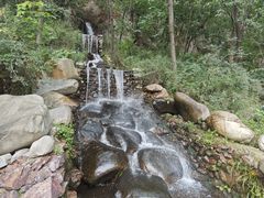-大连天门山国家森林公园